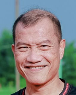 Việt Anh